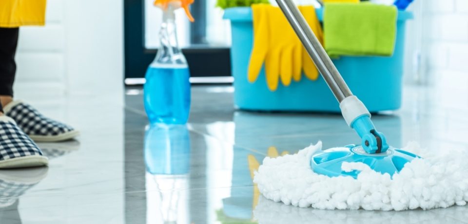 ev-temizligi ev-temizligi